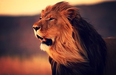 54056525-4e9c-4a06-aa96-97bdcdc8e7d8