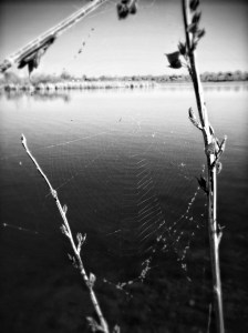 IMG_20150429_093424-2